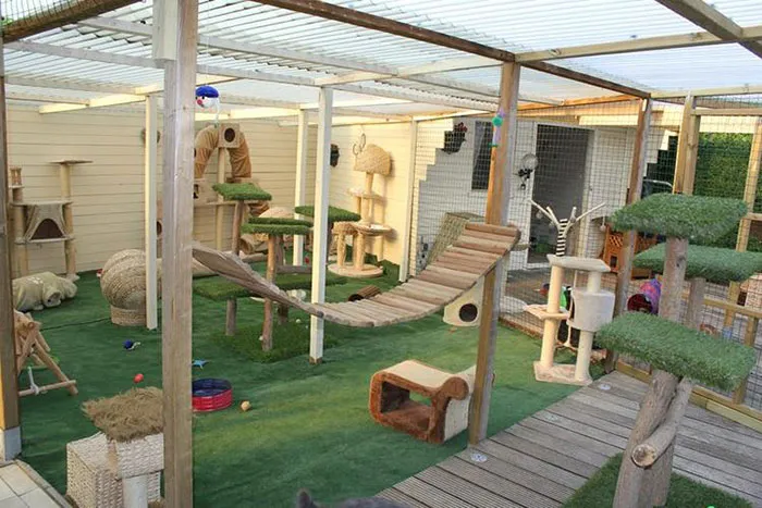 Cat Patios, Known As Catios, Are The Latest Way To Spoil Your Beloved Kitty (30 Pics)