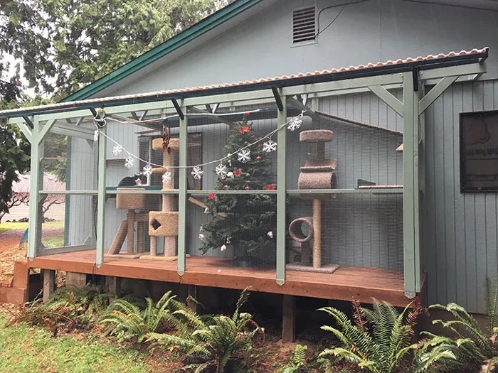 Cat Patios, Known As Catios, Are The Latest Way To Spoil Your Beloved Kitty (30 Pics)