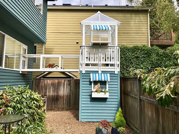 Cat Patios, Known As Catios, Are The Latest Way To Spoil Your Beloved Kitty (30 Pics)
