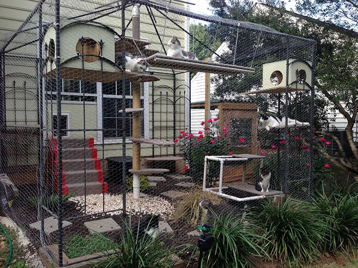 Cat Patios, Known As Catios, Are The Latest Way To Spoil Your Beloved Kitty (30 Pics)