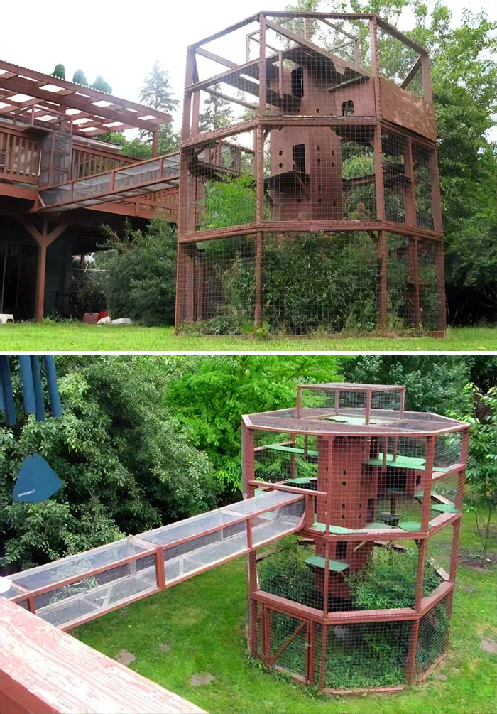 Cat Patios, Known As Catios, Are The Latest Way To Spoil Your Beloved Kitty (30 Pics)