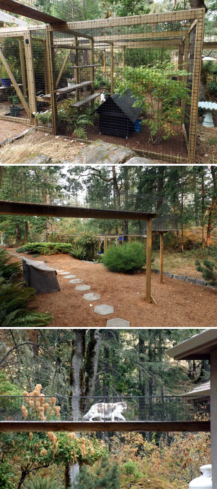 Cat Patios, Known As Catios, Are The Latest Way To Spoil Your Beloved Kitty (30 Pics)
