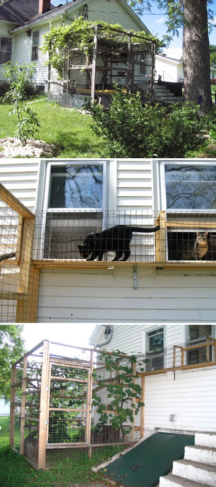 Cat Patios, Known As Catios, Are The Latest Way To Spoil Your Beloved Kitty (30 Pics)