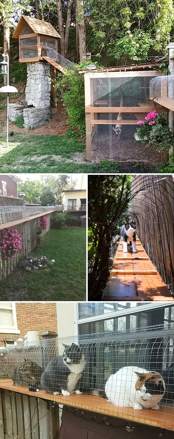 Cat Patios, Known As Catios, Are The Latest Way To Spoil Your Beloved Kitty (30 Pics)
