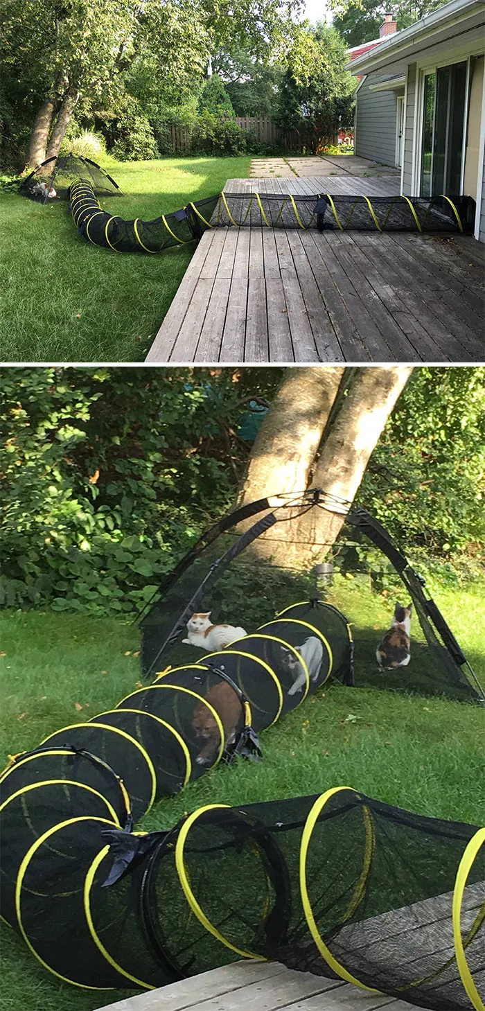 Cat Patios, Known As Catios, Are The Latest Way To Spoil Your Beloved Kitty (30 Pics)