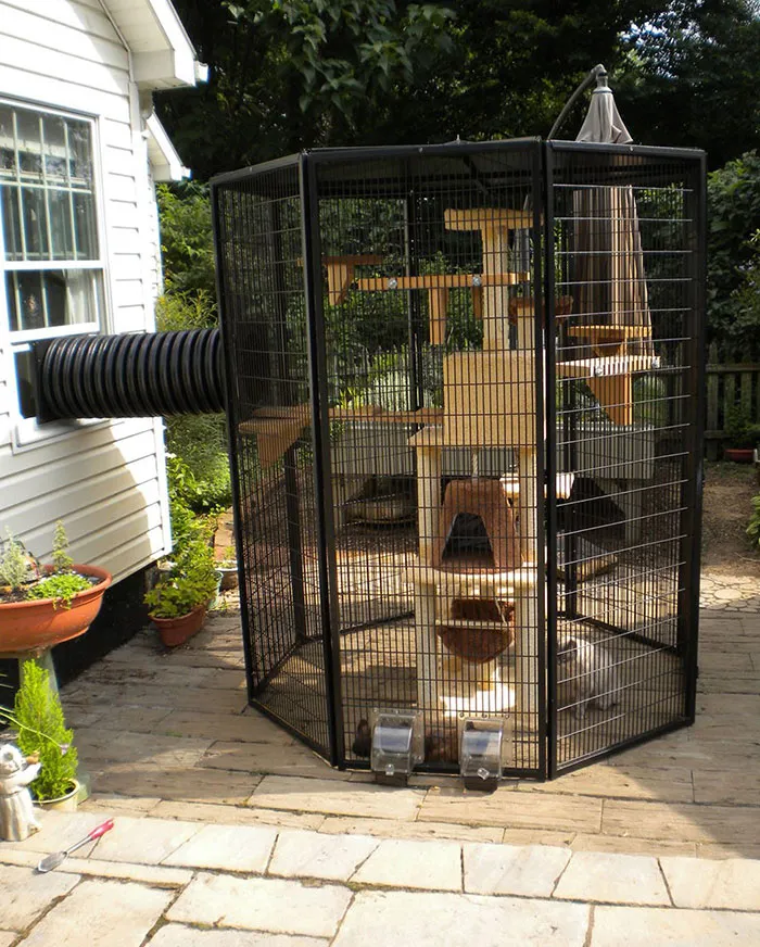 Cat Patios, Known As Catios, Are The Latest Way To Spoil Your Beloved Kitty (30 Pics)