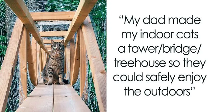 Cat Patios, Known As Catios, Are The Latest Way To Spoil Your Beloved Kitty (30 Pics)