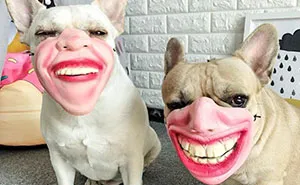 Amazon Is Selling Dog Muzzles That Look Like Human Faces And They’re Too Bizarre