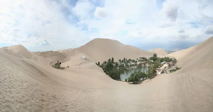 An Oasis In The Desert