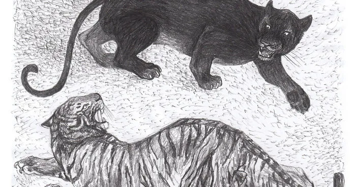 I Was Drawing A Mysterious Tiger Comics To Get My Life Back On Track After A Hard Breakup