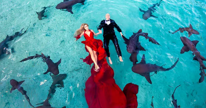 I Brought An Adventurous Couple To Exuma To Swim With Sharks, Pigs, And Stingrays
