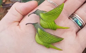 This Flower’s Petals Look Like Hummingbirds
