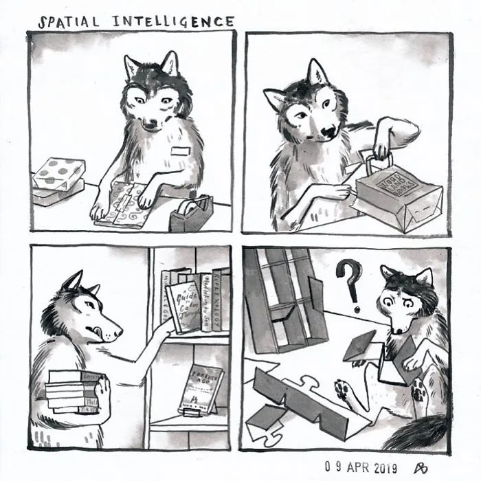 Spatial Intelligence