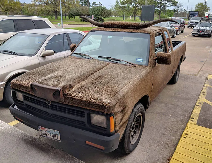 Este camión de toro que vi en Houston. Sí, eso es cuero peludo