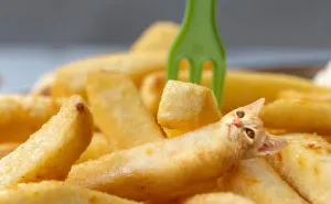 I Photoshop Two Of The Best Things In The World Together - Cats And Food (30 New Pics)