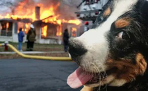 40 Winners Of The Greatest Photoshop Battles Ever