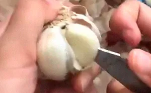 Woman's Garlic Peeling Hack Goes Viral And People Regret The Time They Wasted Doing It The Wrong Way