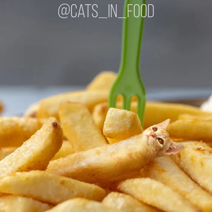 I Photoshop Two Of The Best Things In The World Together - Cats And Food (30 New Pics)