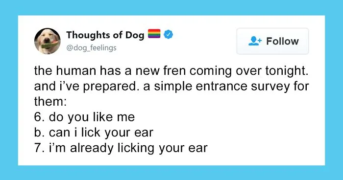 30 Of The Funniest Dog Thoughts That Dog Owners Will Understand Too Well