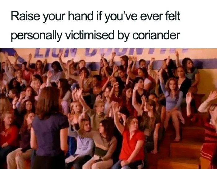 This Facebook Group Is Dedicated To Coriander (Cilantro) Haters And Here Are The 30 Funniest Images