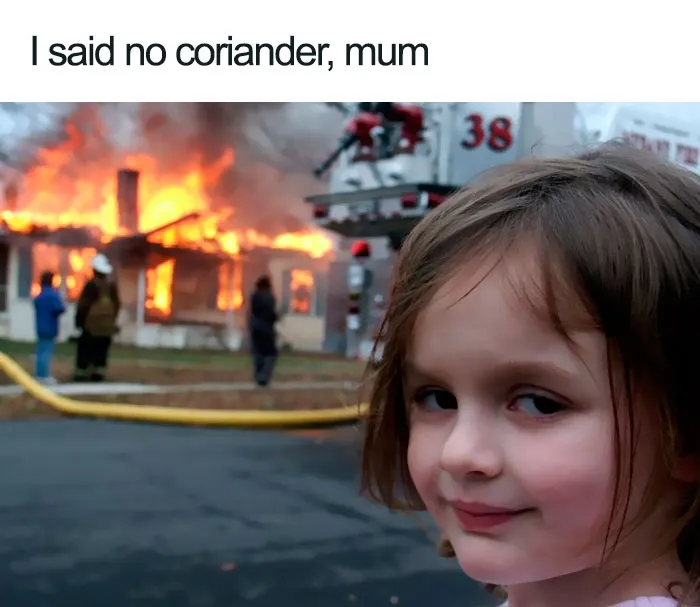 This Facebook Group Is Dedicated To Coriander (Cilantro) Haters And Here Are The 30 Funniest Images