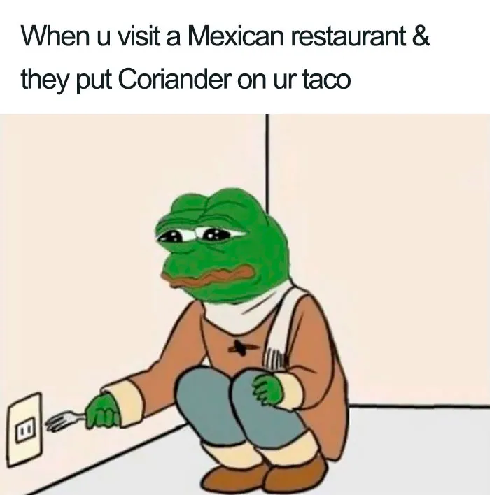 This Facebook Group Is Dedicated To Coriander (Cilantro) Haters And Here Are The 30 Funniest Images