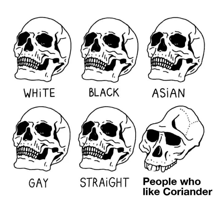 This Facebook Group Is Dedicated To Coriander (Cilantro) Haters And Here Are The 30 Funniest Images