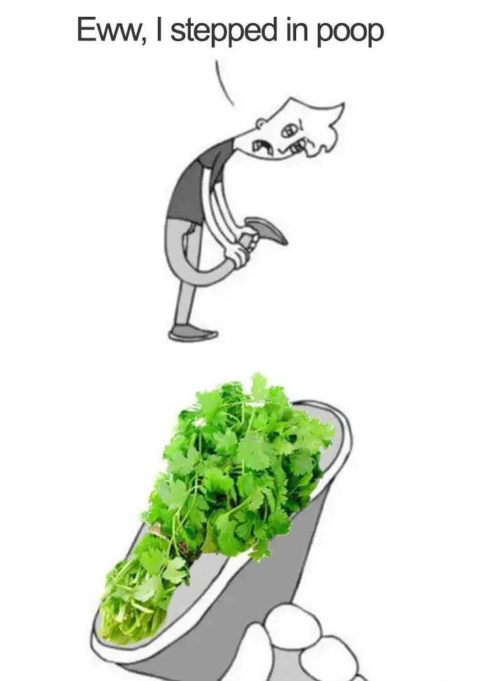 This Facebook Group Is Dedicated To Coriander (Cilantro) Haters And Here Are The 30 Funniest Images