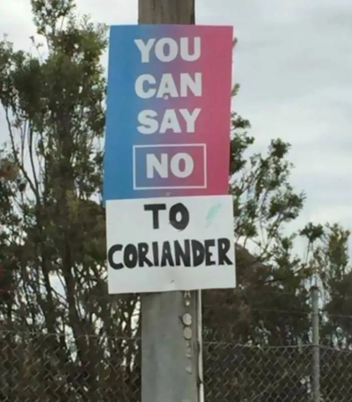 This Facebook Group Is Dedicated To Coriander (Cilantro) Haters And Here Are The 30 Funniest Images