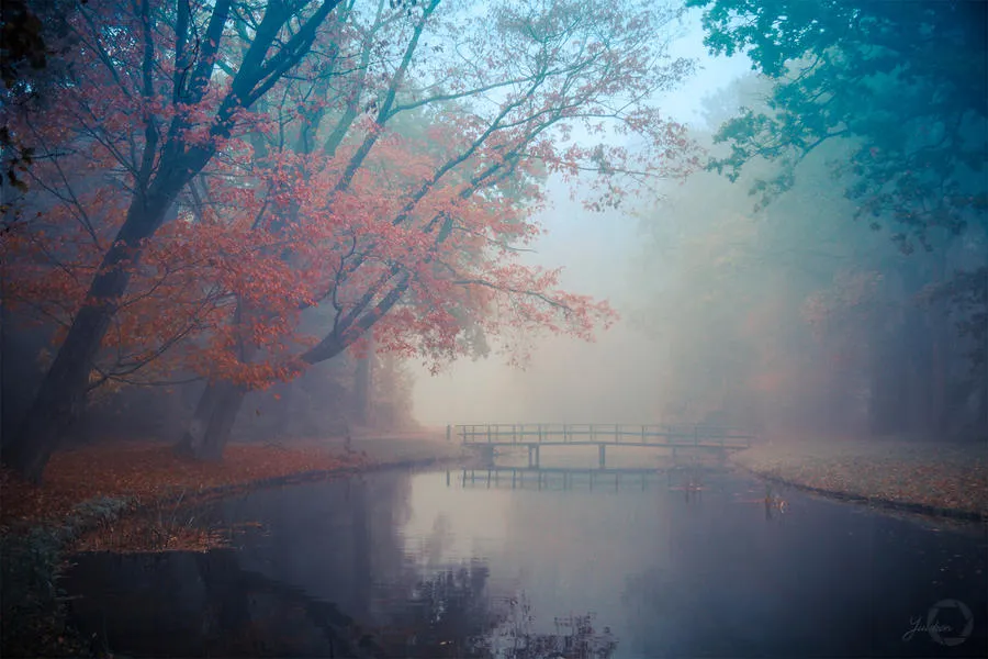 I Capture The Fairy-Tale Like Magic Of Nature