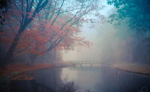I Capture The Fairy-Tale Like Magic Of Nature