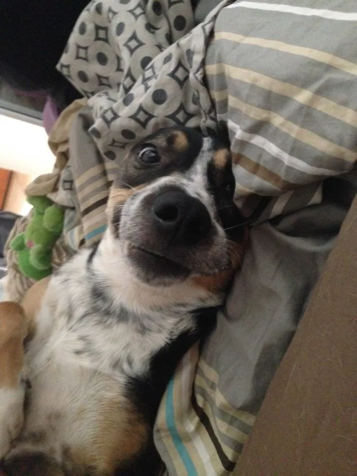 Mornin’