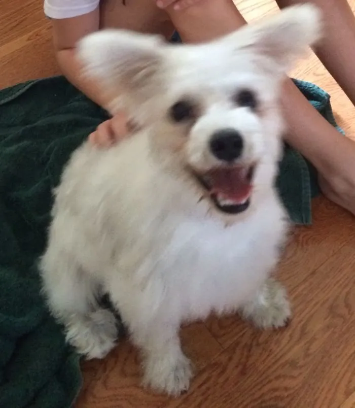 Say Cheese!