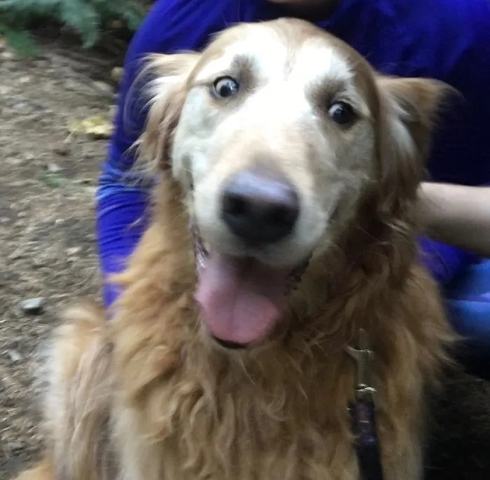 Bizmark On A Hike With Me