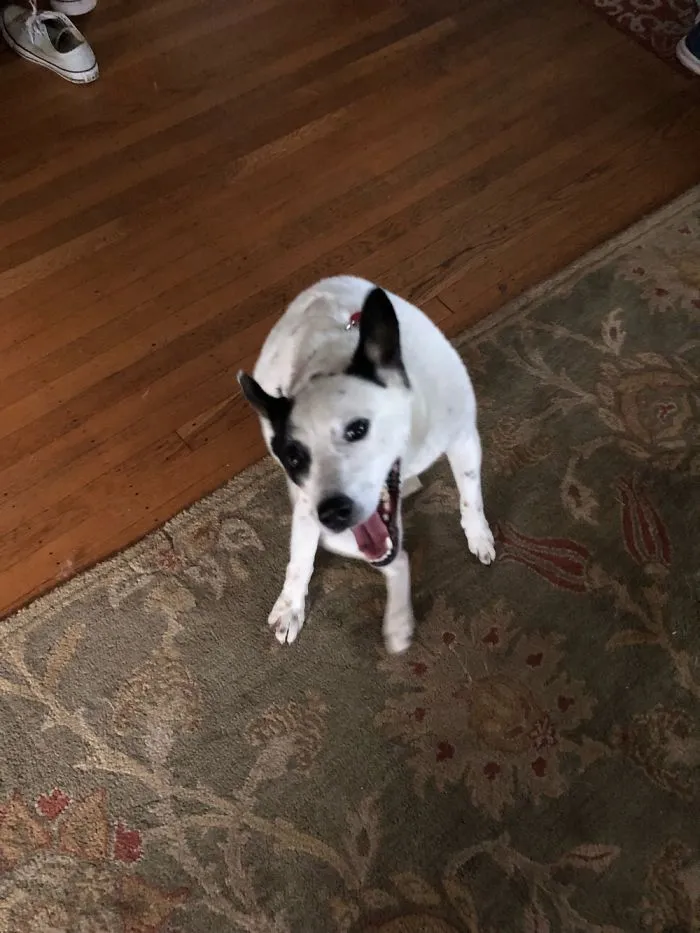 She Was In A Good Mood>^