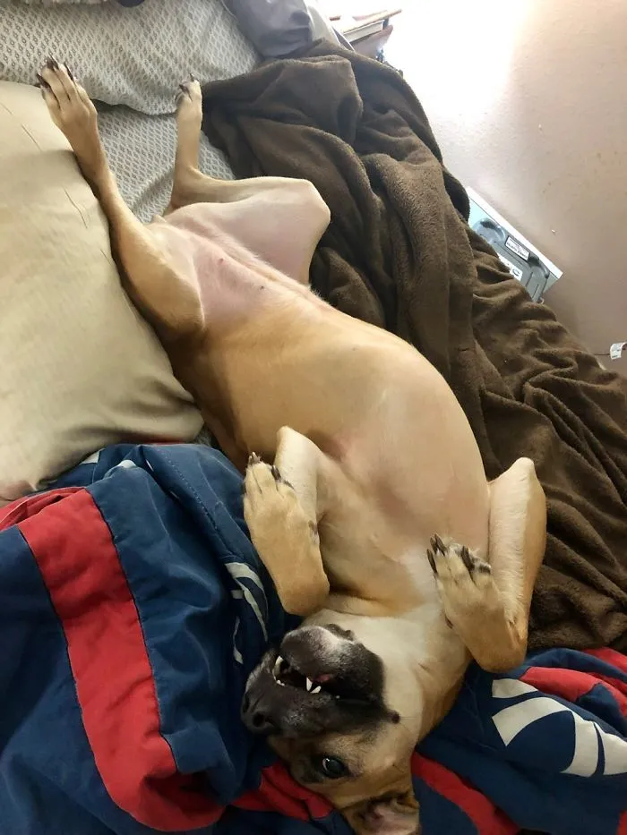My Princess Being Cute!