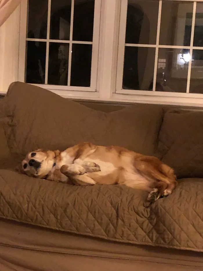 She Was Tired