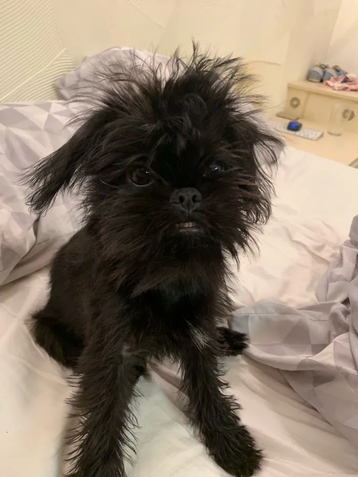 Early Morning Bed Head 💤