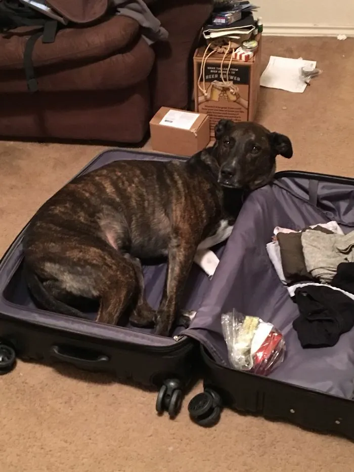Our Diamond... Super Afraid That We’ll Leave Without Her.