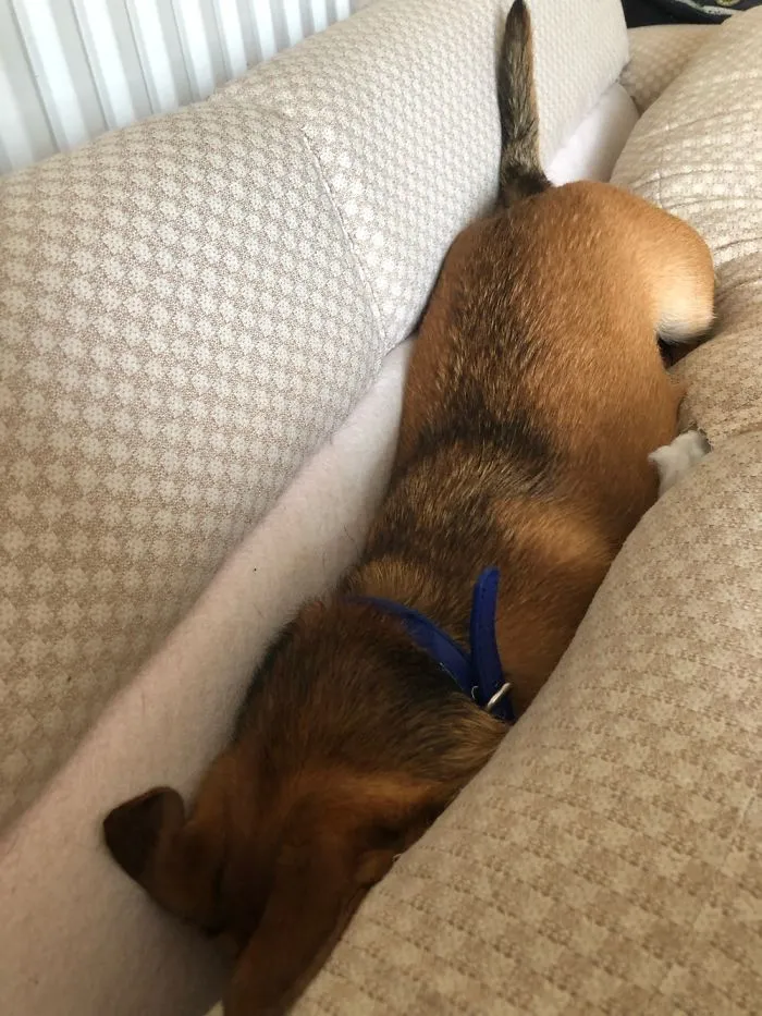 Fudge Not Facing His Responsibilities