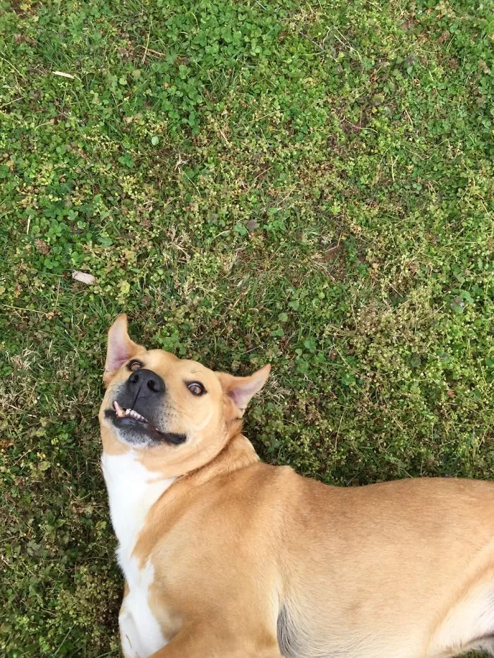 Smile!