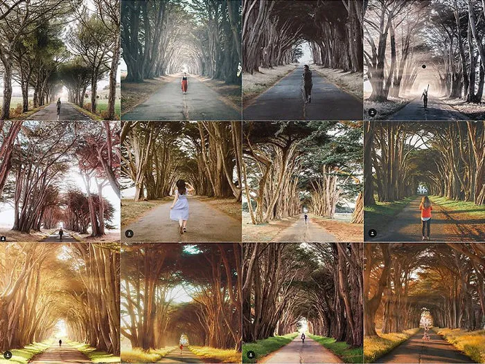 Person Centered On A Curly Tree Road