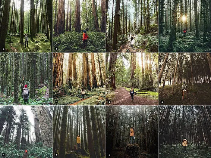 More Of This
