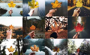 Somebody Is Showing How Instagram Photos Are All Starting To Look The Same, And It's Depressing (New Pics)