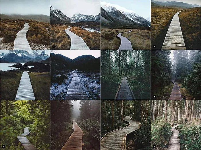 Centered, Empty, Moody, Wooden Pathways