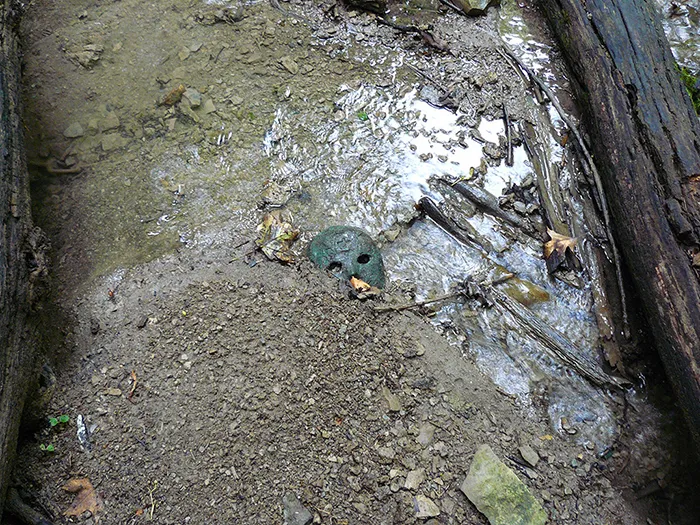 Estaba buscando fósiles tras una tormenta, y encontré esto