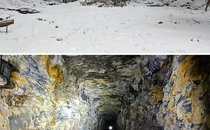 40 Times People Found Something Weird In The Woods And Just Had To Share