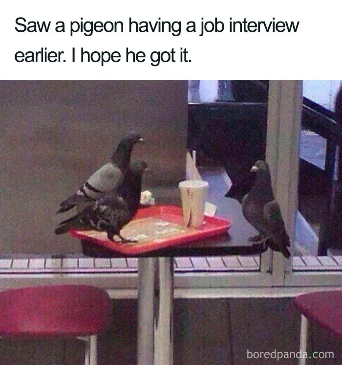 Job Interview Memes