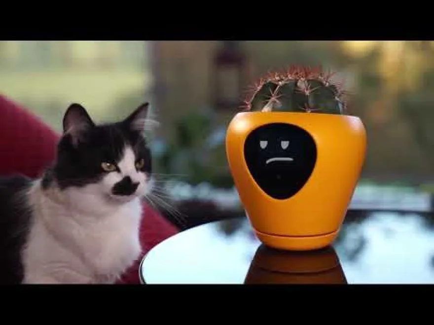 This Is The Sweetest Smart Planter!
