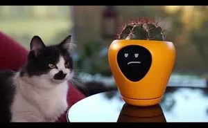 This Is The Sweetest Smart Planter!